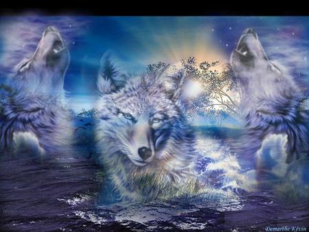 loup 